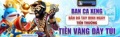 プロフィール｜Ban ca xeng Live