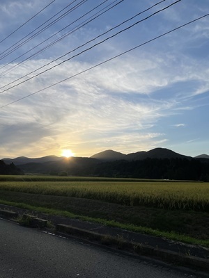 プロフィール｜ぱくもぐ！