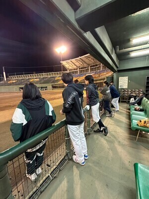 プロフィール｜静岡ホーリーライオンズ