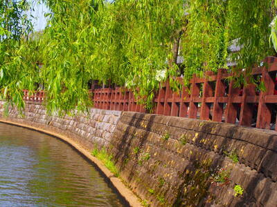 プロフィール｜県民の集い