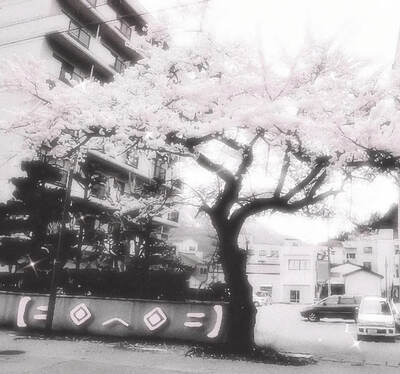 プロフィール｜夜桜の夢GIeezy：jp5560