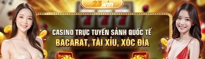 プロフィール｜23win