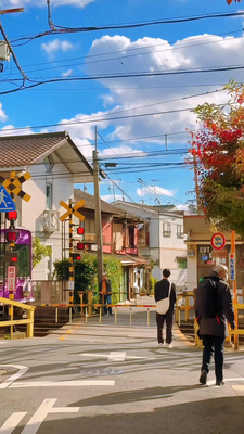 プロフィール｜COCOの楽園