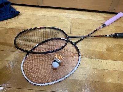 プロフィール｜バミドンドン🏸