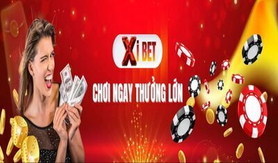 プロフィール｜Xibet