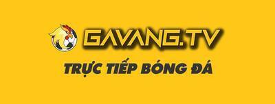 ヘッダー画像｜gavang tv