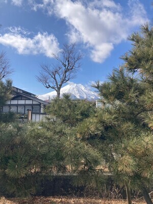 プロフィール｜大人の球技大会