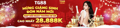 プロフィール｜Tg88  Mba