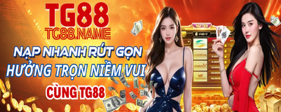 プロフィール｜TG88