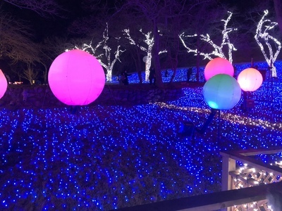 旅友サークルの活動紹介