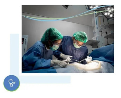 プロフィール｜general gynaecologist