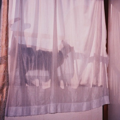 プロフィール｜あのネガフィルム