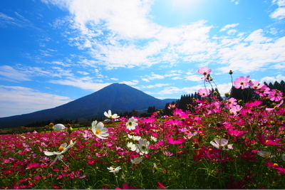 プロフィール｜みんなで登山しよう！