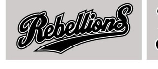 プロフィール｜RebellionS(リベリオンズ)