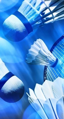 プロフィール｜神奈川バド🏸