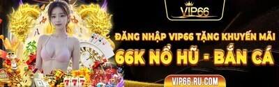 プロフィール｜vip66rucom2