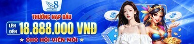 プロフィール｜O8