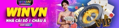 プロフィール｜winvnlink