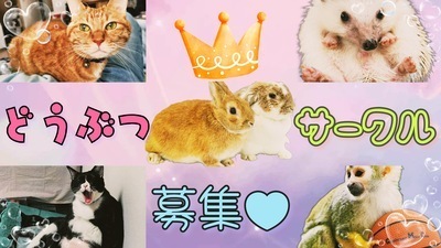 ヘッダー画像｜もふとも🐶