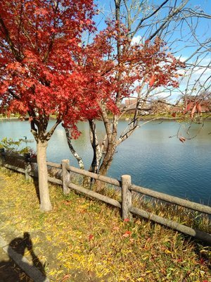 ヘッダー画像｜京都・奈良で本が好きな方ひっそりと関西圏で本の茶話会（≠読書会）