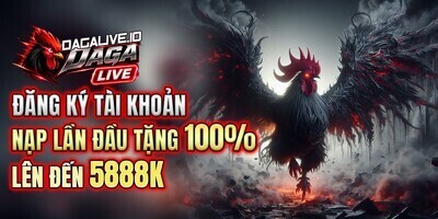 プロフィール｜ĐÁ GÀ LIVE