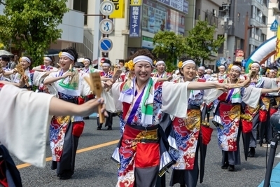 プロフィール｜東京よさこい SummerZipper（サマージッパー） 