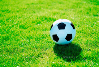 プロフィール｜Gakuスポーツアカデミーサッカースクール