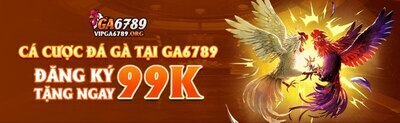 プロフィール｜vipga6789org