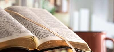 プロフィール｜2026年📖無料の聖書講座＆メンタルケア📖