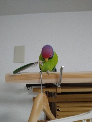 プロフィール｜動物好き人間好きと集まる足愉快