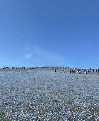 プロフィール｜荒川区バドサークル・ＡＳＢ【未経験ＯＫ】