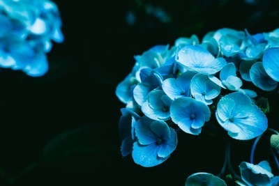 プロフィール｜findStagram