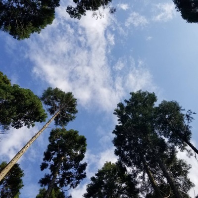 プロフィール｜キャンプしよう