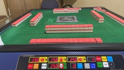 プロフィール｜Vリーグ