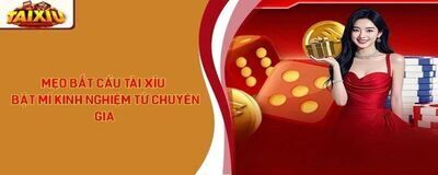 プロフィール｜Tài Xỉu Online