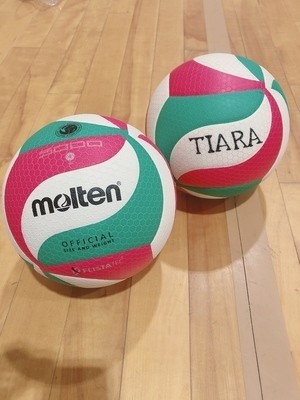 プロフィール｜高槻９人制バレーボール　TIARA
