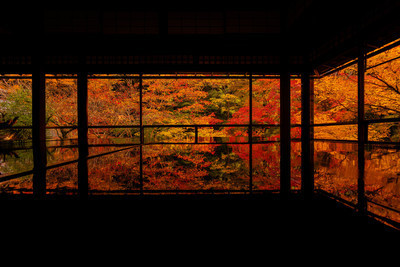 プロフィール｜Photo Circle "Paysage"