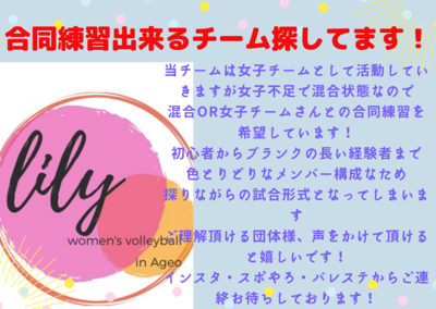 ヘッダー画像｜Lily【女子６人制】