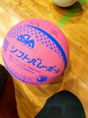プロフィール｜すけろんソフトバレー