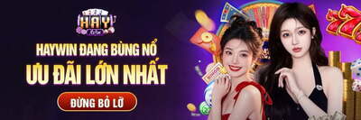 ヘッダー画像｜Cổng game Haywin