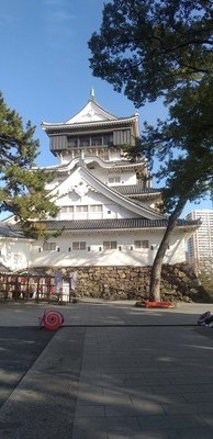 ゆる散歩🚶