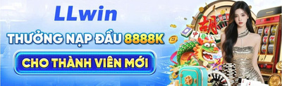 プロフィール｜LLWIN
