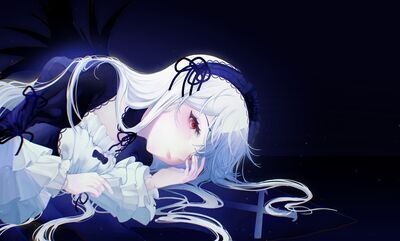 プロフィール｜シクリッド