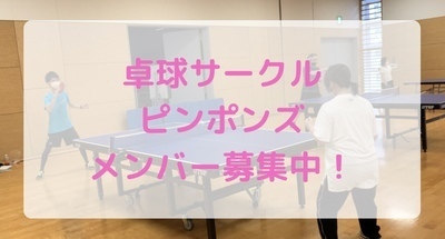 プロフィール｜ピンポンズ🏓