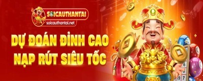 プロフィール｜soicauthantainet