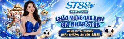 プロフィール｜ST88