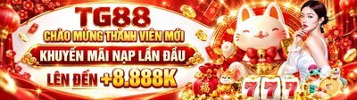 プロフィール｜tg8889net