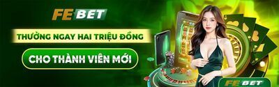 プロフィール｜febet8mx