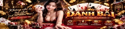 プロフィール｜Đánh Bài