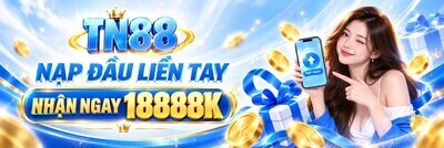 プロフィール｜tn88today